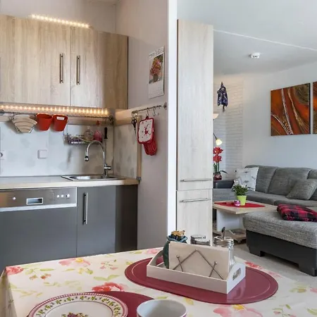 Harzblick Apartment *