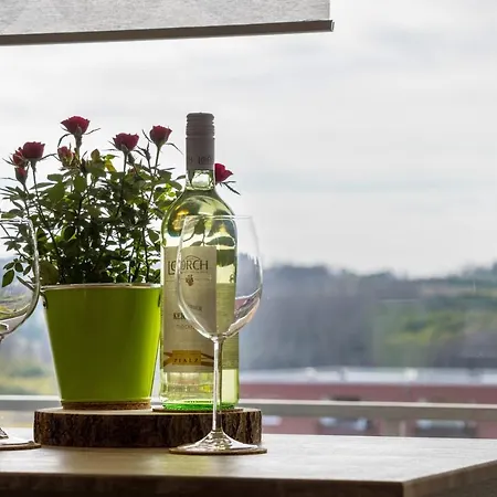 Harzblick Apartment *